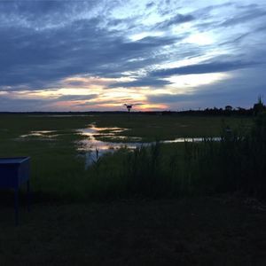 Meet your Posher, Kristin